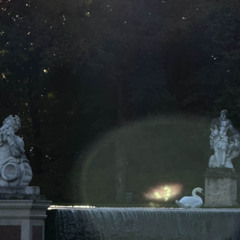 dont u know (p.neverforever)