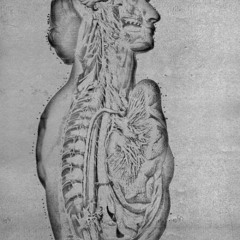 Misantropskia - Bradar obscurante