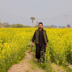 ye dil ye pagal dil mera