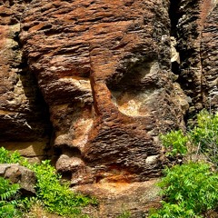 Instrumental Favorites