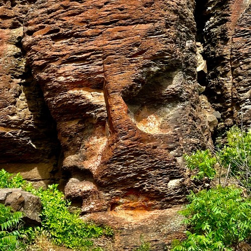 Instrumental Favorites