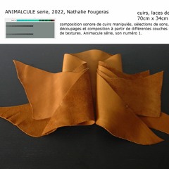 animalcule composition numbee 1