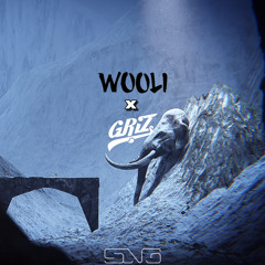 Wooli & Griz - Chaos Theory w/ Human (Sang's remake)