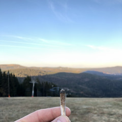 Jeden Tag
