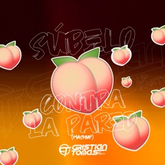 Noiz X Sean Paul Ft. J Balvin X Nfasis - Contra La Pared (Cristian Tomas Super Mash 100Bpm)