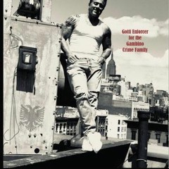 Science & Beyond The Enforcer And Hit Man For John Gotti John Alite