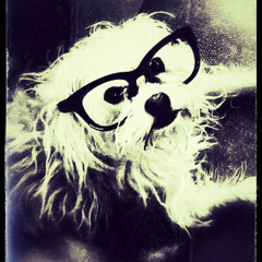 Gets Me High Every Time