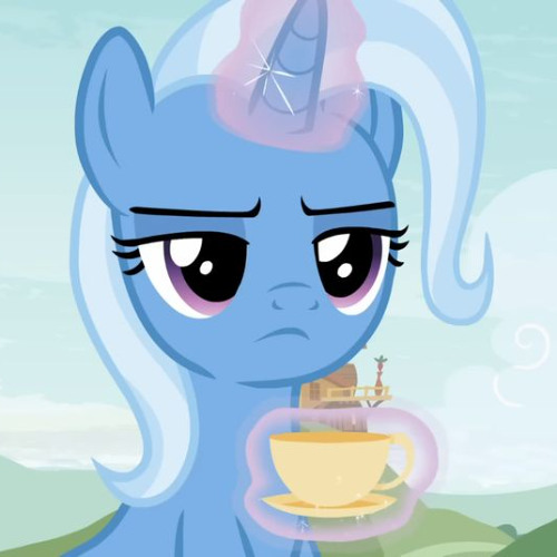 equestrian ponystep