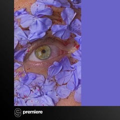 Premiere: SAVANN - Panorama - Annuna Music