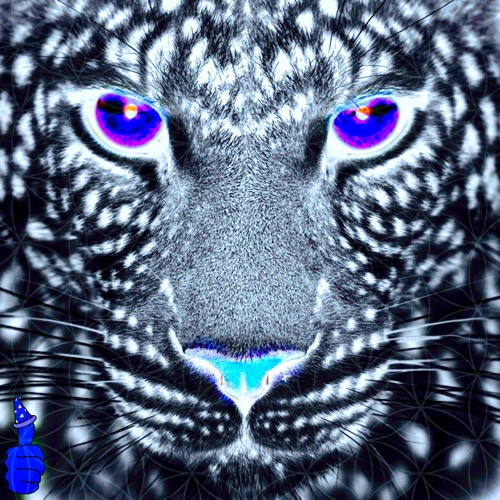 Stream WHITE JAGUAR WITH BLUE PAWS by AQUA STONE THRONE | Listen online for  free on SoundCloud