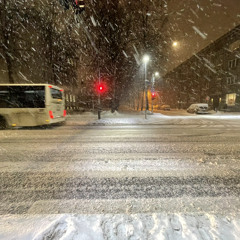 Eesti lipp parim versioon