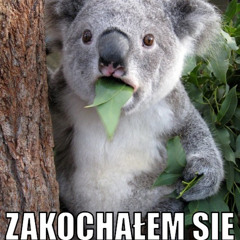 ZAKOCHAŁEM SIĘ