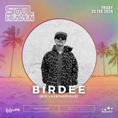 Birdee Guestmix for Soul Heaven