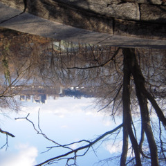 whered all the time go