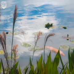 lofi hip hop / chillhop / beats to study/relax to
