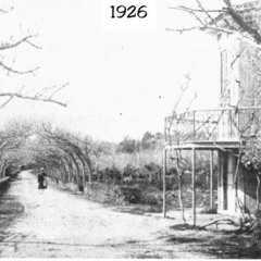 1926 Hasanağa Parkı