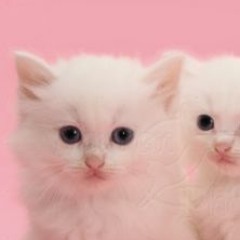 x files theme song soft trance remix