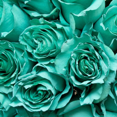 𝓬𝓸𝓶𝓹𝓵𝓮𝓽𝓸   𝓮𝓶   𝓻𝓮𝓵𝓪𝔁𝓪𝓻