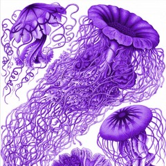 Sombrero Cosmos (Elec's 1971 Version)