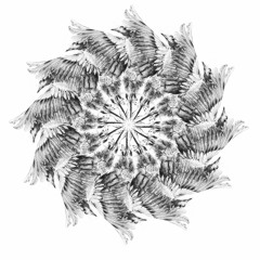 Cycle Of Life, Told By A Dead Bird