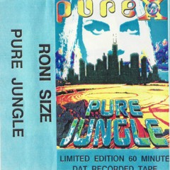 Roni Size - Pure X 'Pure Jungle' - 5th August 1995