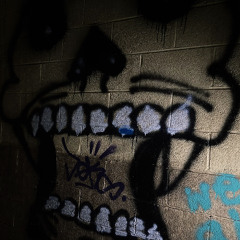 Kodiac Flow (prod. roshi)