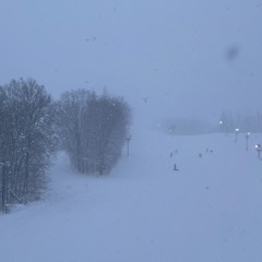 Change up the pace p.1domo