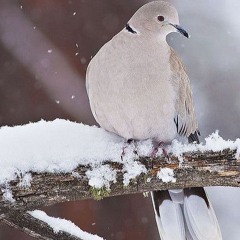 Drag me under, put me to sleep