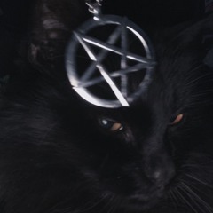 sin (prod. birdbusinness)