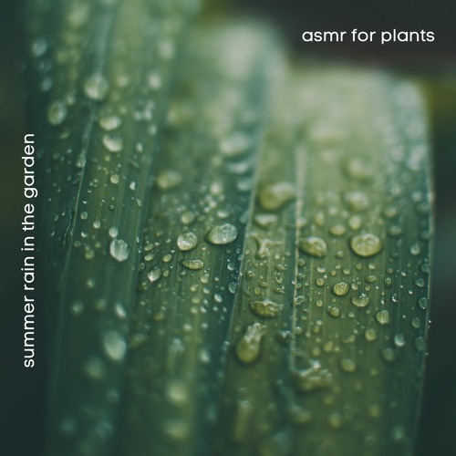 Stream Brushing Brick in the Rain by ASMR for Plants Listen online