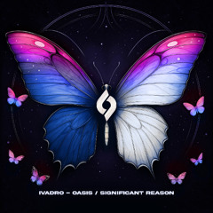 IVADRO - Significant Reason [Journey of the Soul]