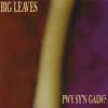 synfyfyrio-big-leaves