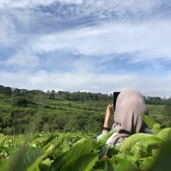 Cobalah Untuk Setia - Cover