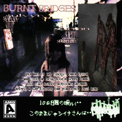 burnt bridges w/ s0lemn (bloodcryY)