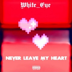 White_Eye_-_Never_Leave_my_heart