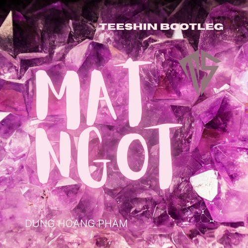 MẬT NGỌT (DUNGHOANGPHAM) - TEESHIN BOOTLEG (Extended Mix)