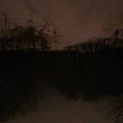 guilt follows me around like a stray dog