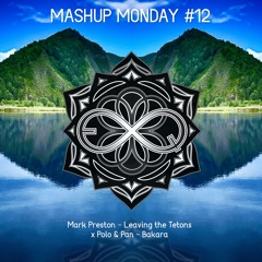 Mark Preston - Leaving The Tetons x Polo & Pan - Bakara (Equanimous Mashup)