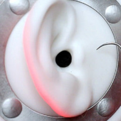 ASMR Sul Boute Du Bat