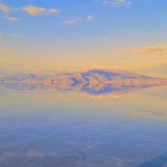 Digital Salt Invasion