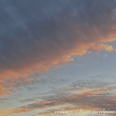 ceilings // lizzy mcalpine
