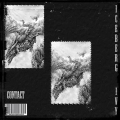 ICEBERG IVY - DO NOT DISTURB