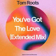You've Got The Love (Extended Mix) ( Release 28th of November 25 )
