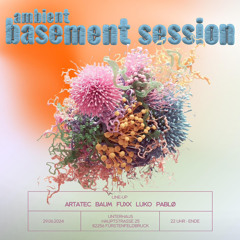 29.06 LIVEREC @ AMBIENT BASEMENT SESSION
