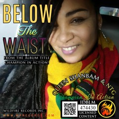 2. Below The Waist by Shannon Palmer aka Queen ShanBam & Nate The Great. Ntg (Mix)