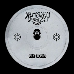 Braydon Terzo - My 9mm