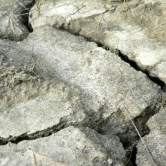 荒野ナイヴス【in The War】