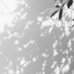 Home (2025 Remaster)