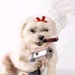 blam blam fever_VIP