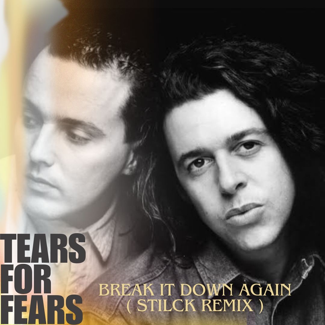 Stream TEARS FOR FEARS- Break It Down FILTERED (Stilck Remix) by